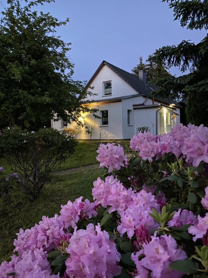 Gemuetliches Ferienhaus Spremberg Ngoại thất bức ảnh